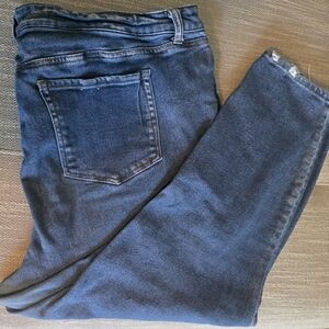 Women's Plus Size 24W Distressed Skinny Leg Jeans Stretchy 3X Blue Denim Juniors